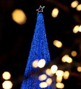 The Tree Rosedale The Story of The Blue Tree: Rosedale’s gorgeous symbol of the holidays ...